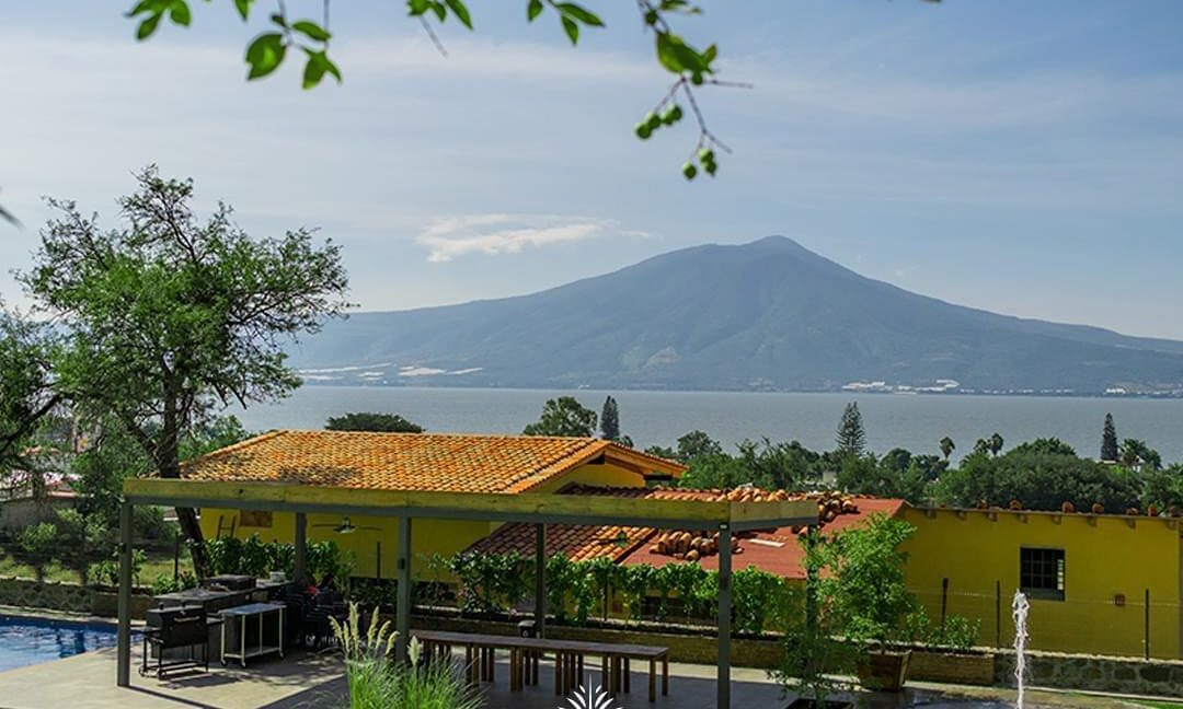 WhatsApp Image 2024-08-15 at 1.27.21 PM(1)