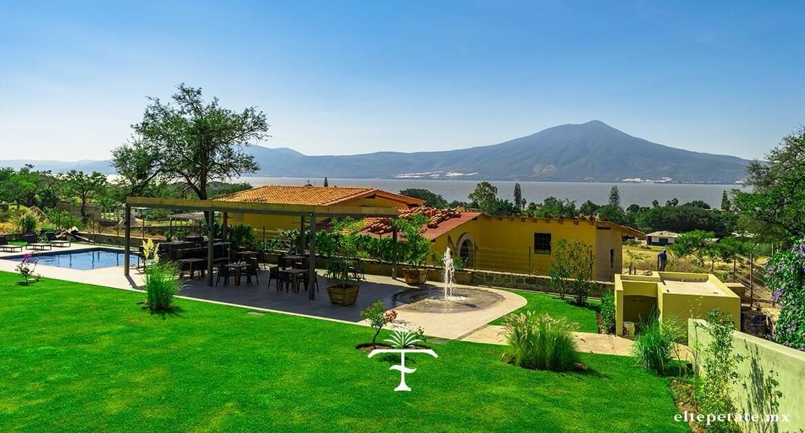 WhatsApp Image 2024-08-15 at 1.27.23 PM(1)