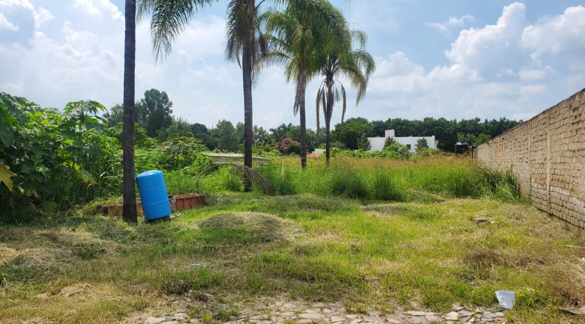 WhatsApp Image 2024-09-12 at 12.48.13 PM