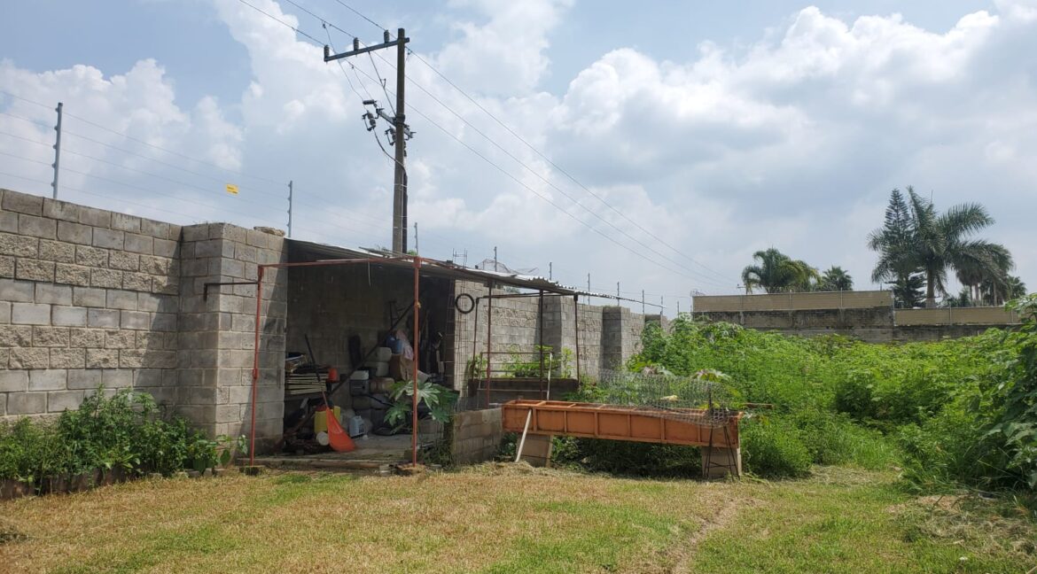 WhatsApp Image 2024-09-12 at 12.48.14 PM