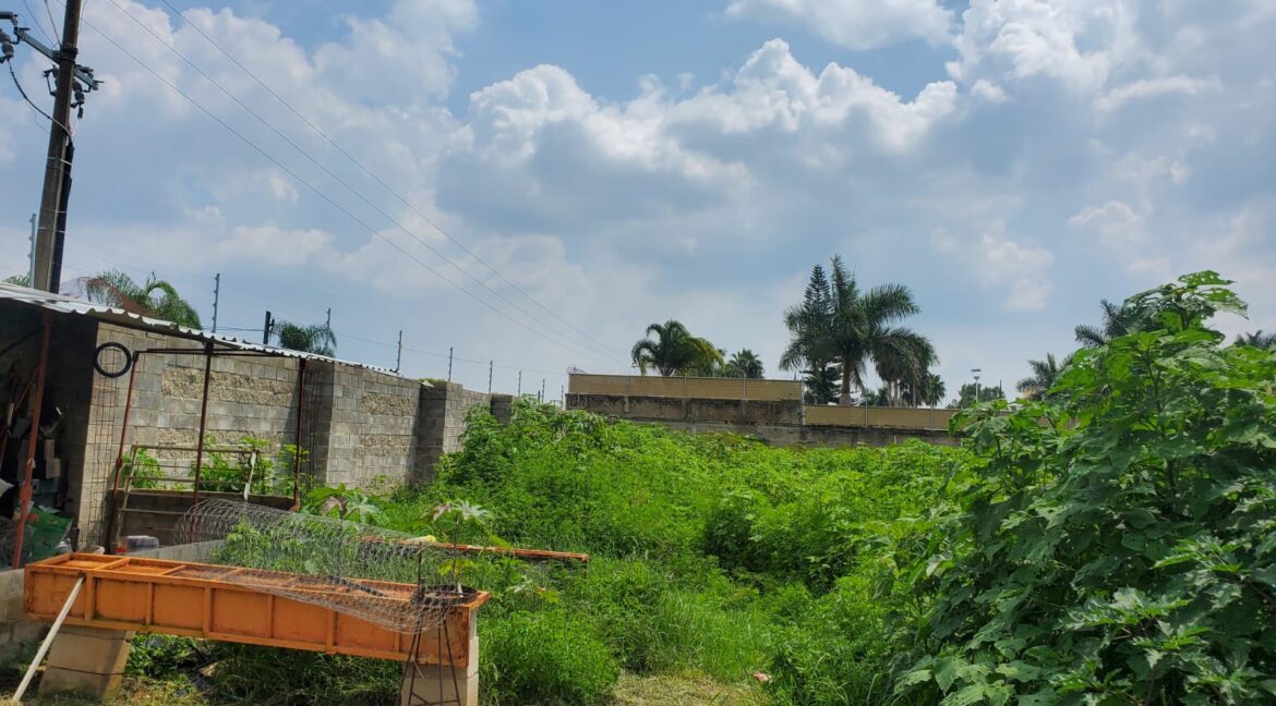 WhatsApp Image 2024-09-12 at 12.48.14 PM(1)