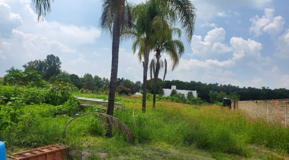 WhatsApp Image 2024-09-12 at 12.48.14 PM(2)