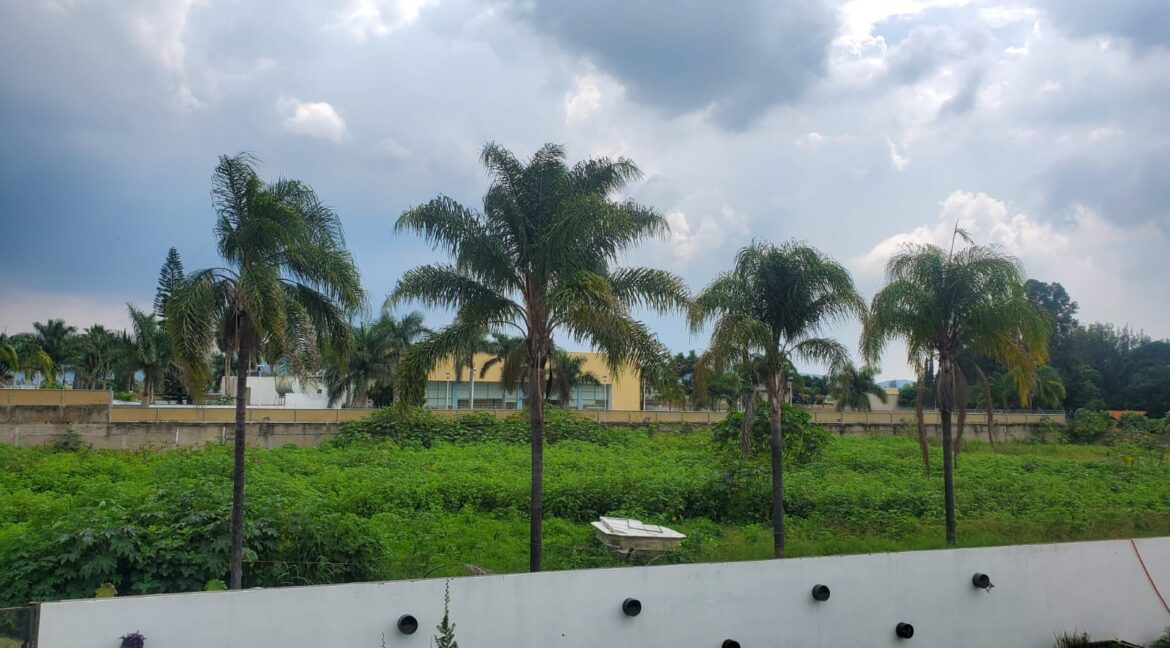 WhatsApp Image 2024-09-12 at 12.48.15 PM(4)