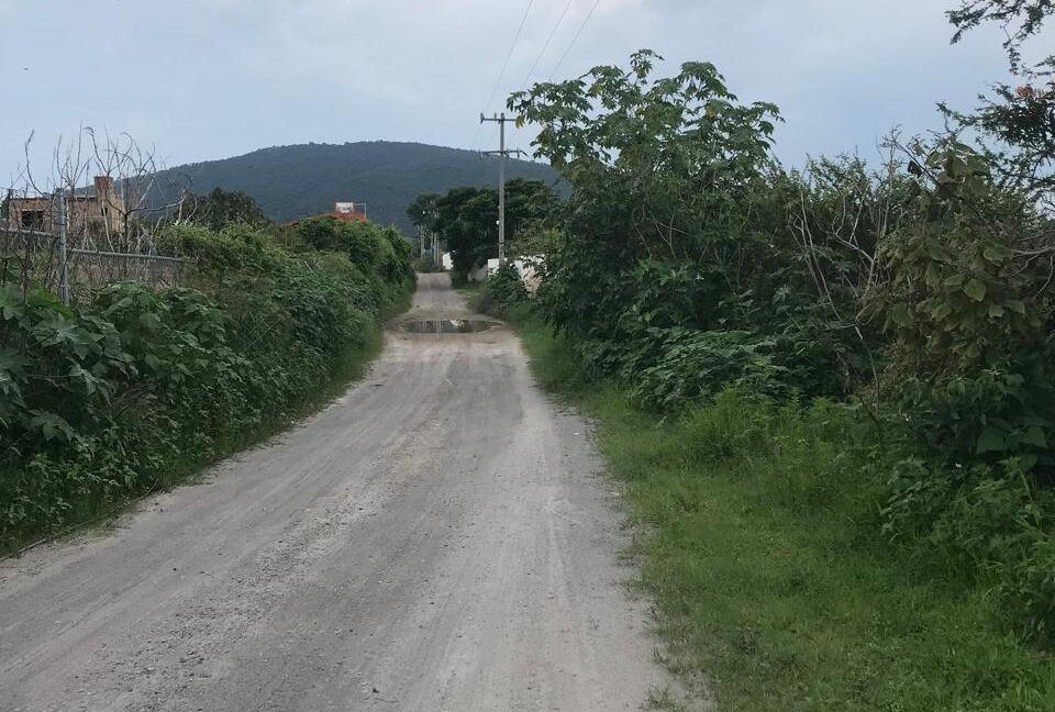 camino ingreso